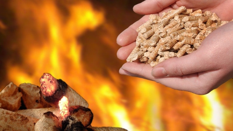Mains tenant des granulés bois devant un feu de bûches, comparaison des deux combustibles pour chaudière